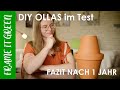 OLLA BEWÄSSERUNG - Fazit & FAQ nach 1 Jahr Erfahrung | Tomate, Zucchini & co! | Frame it Green