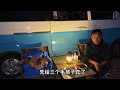 第179集 這是小白陪我過的第一個生日，芒果，石榴，小白生日快樂！ 救助流浪狗 狗是人类最忠诚的朋友 艾倫 自駕游