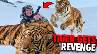 This Siberian Tiger Gets Revenge on Two Hunters! (Animals Gone WRONG)