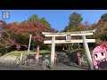 京都紅葉ちょこっとガイド「善峯寺 西山 」【観光名所案内】