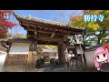 京都紅葉ちょこっとガイド「善峯寺 西山 」【観光名所案内】