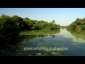 bharatpur s beautiful wetlands