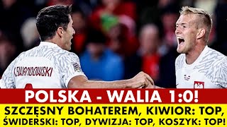 POLSKA - WALIA 1:0! SZCZĘSNY BOHATEREM, KIWIOR - TOP, ŚWIDERSKI - TOP, DYWIZJA - TOP, KOSZYK - TOP!
