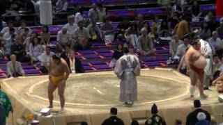 大相撲.2016.7.23⑬/千代丸(chiyomaru)-旭大星(kyokutaisei) /nagoya Basho/day 14 #sumo