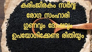 കരിംജീരകം ഗുണവും ദോഷവും അറിയാം /karimjeerakam enthinokke upayohkkanam