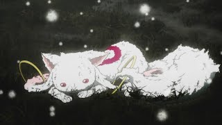 Homura's grudge against Kyubey be like (Madoka Magica)