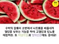 건강꿀팁 여름음식 추천 건강한 여름철 보양음식