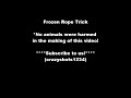 frozen rope trick hd