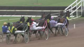 Avenches/28.10.2016/Grand Prix des 4ans