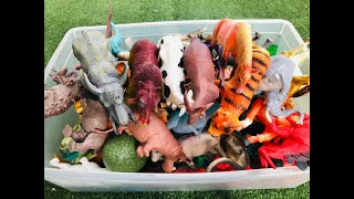 กล่องของเล่น โมเดลสัตว์ป่า (ช้าง ม้า วัว ควาย ไดโนเสาร์)รีวิวToy box, wild animal model