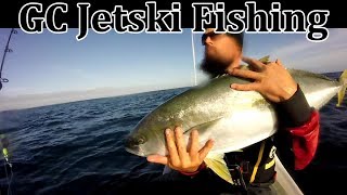 How to catch Kingfish on livebait