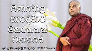 පදුමුත්තර බුදු සසුනේ සිංහයෙක්ව ඉපදී බුද්ධ ගෞරවය දරාගත නොහැකිව පපුව පැලී මැරුණු පින්වන්තයා !!