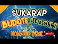 SUKARAP | BUDOTS BUDOTS NONSTOP DISCO REMIX | DjCarlo Remix Collection