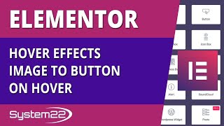 Elementor Hover Effects Image To Button On Hover 👍