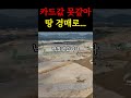 카드값 1000만 원 땅 날렸다