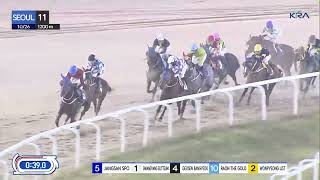 (Seoul) 2024.10.26 R11 Class 2 (1200M) Handicap