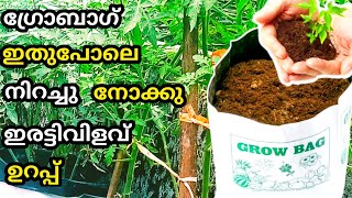 മികച്ച വിളവിന് ഗ്രോബാഗ് നിറക്കുന്ന വിധം | How to fill growbag | pottingmix | shalus world shalu mon