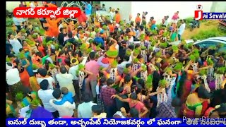 ఐనుల్ దుబ్బ తండా, అచ్చంపేట్ నియోజకవర్గం లో ఘనంగా  తీజ్ సంబరాలు || Jai Sevalal Tv Banjaras