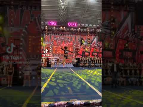 What are the different types of stunts?