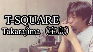 【宝島/T-SQUARE】寝起きでボーッとした人のクロマチックハーモニカ演奏