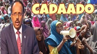 DAAWO Banaanbax looga soo horjeedo Farmajo Oo ka Socda Cadaadp