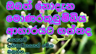 මොනවද මේ මොණරකුඩුම්බිය...monarakudumbiya...