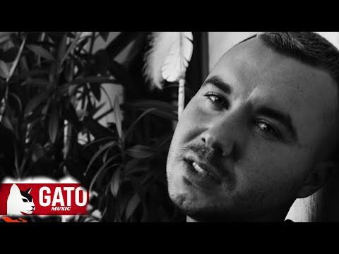 Download Gato Suflet De Nimic Video Mp3 Download Gato Suflet De Nimic Video Mp3