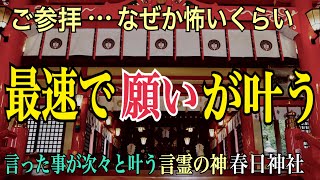 ※見た人強運【春日神社遠隔参拝】驚くほど幸運を引き寄せ次々と願望が実現化する「言霊の力」大分開運パワースポット【2021年オンライン参拝】