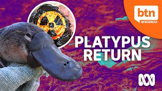 Platypuses Return To Australia's Oldest National Park
