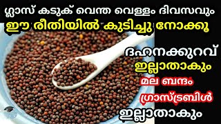 ദിവസവും 1 ടിസ്പൂൺ കടുക് ഇങ്ങെനെ കഴിച്ചു നോക്കൂ ദഹനക്കുറവ് ഗ്യാസ് ട്രബിൾ മലബന്ദം എല്ലാം ഇല്ലാതാകും