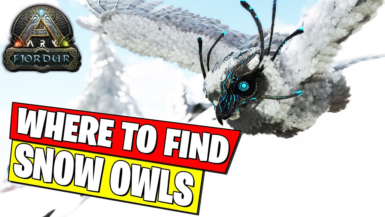 What Do You Feed Snow Owls Ark At Sherlyn Weyer Blog