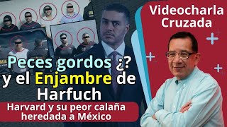 #VideocharlaCruzada | El agandalle de Artículo 19, Claudio y el INAI