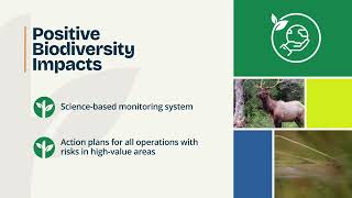 Domtar Sustainability Strategy - Environmental Stewardship