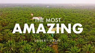 Hidden Treasures in the World's Largest Oasis | Presented by Visit Saudi