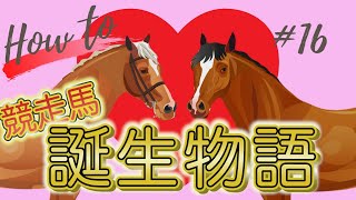 競走馬の誕生物語 （競馬が分かるHow to ）#16