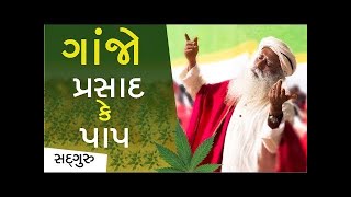 ગાંજો ભાંગ અને ચરસ   આ પ્રસાદ છે કે પાપ   Is Smoking Weed Ok  Sadhguru Gujarati