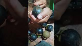 First time trying indian mangosteen Fruit 2️⃣ ways #shorts #trending #youtubeshorts #viral #yt