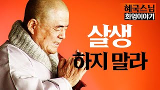 |#혜국스님|17."살생 하지 말라" 이 말의 진짜 의미 #화엄이야기