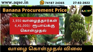 புதுப்பாளையம் வாழைத்தார் ஏலம் | வாழைத்தார் விற்பனை | Banana Wholesale Mandi | Banana Auction Report