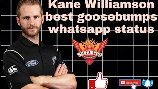 Kane Williamson best whatsapp status | Kane mama | my own videos... 🙏