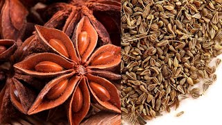 All about star anise and anise seeds ( health benefits, home remedies (anise tea) \u0026 nutrition )