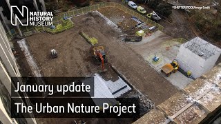 Urban Nature Project: construction kicks off in our gardens | Natural History Museum