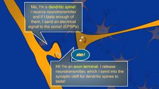 BrainU video: Synapses Change!