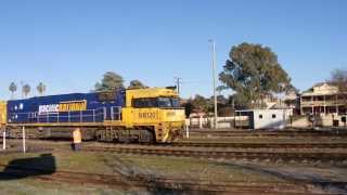 Junee Trains NR120 \u0026 NR60 with 6MW2