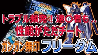 「公式チート＋バグ」でシリーズ最強機体。『ガンダムvsガンダム』のフリーダム使ってみた