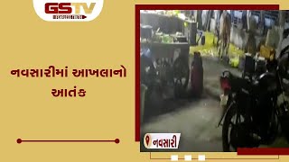 નવસારીમાં આખલાનો આતંક | Gstv Gujarati News