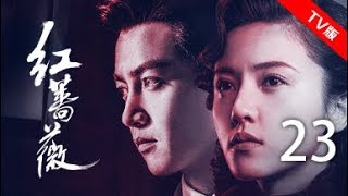 红蔷薇 23丨Wild Rose 23（主演:杨子姗,陈晓,毛林林,谭凯）【TV版】