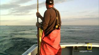 Wicked Tuna - Biggest Fish of the Year