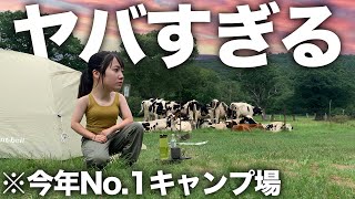 動画見なくていいから、このキャンプ場行け。