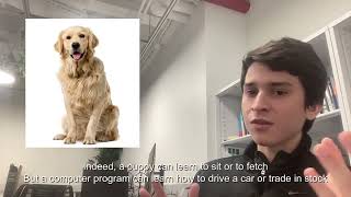Multi-agent Reinforcement Learning - project explanation